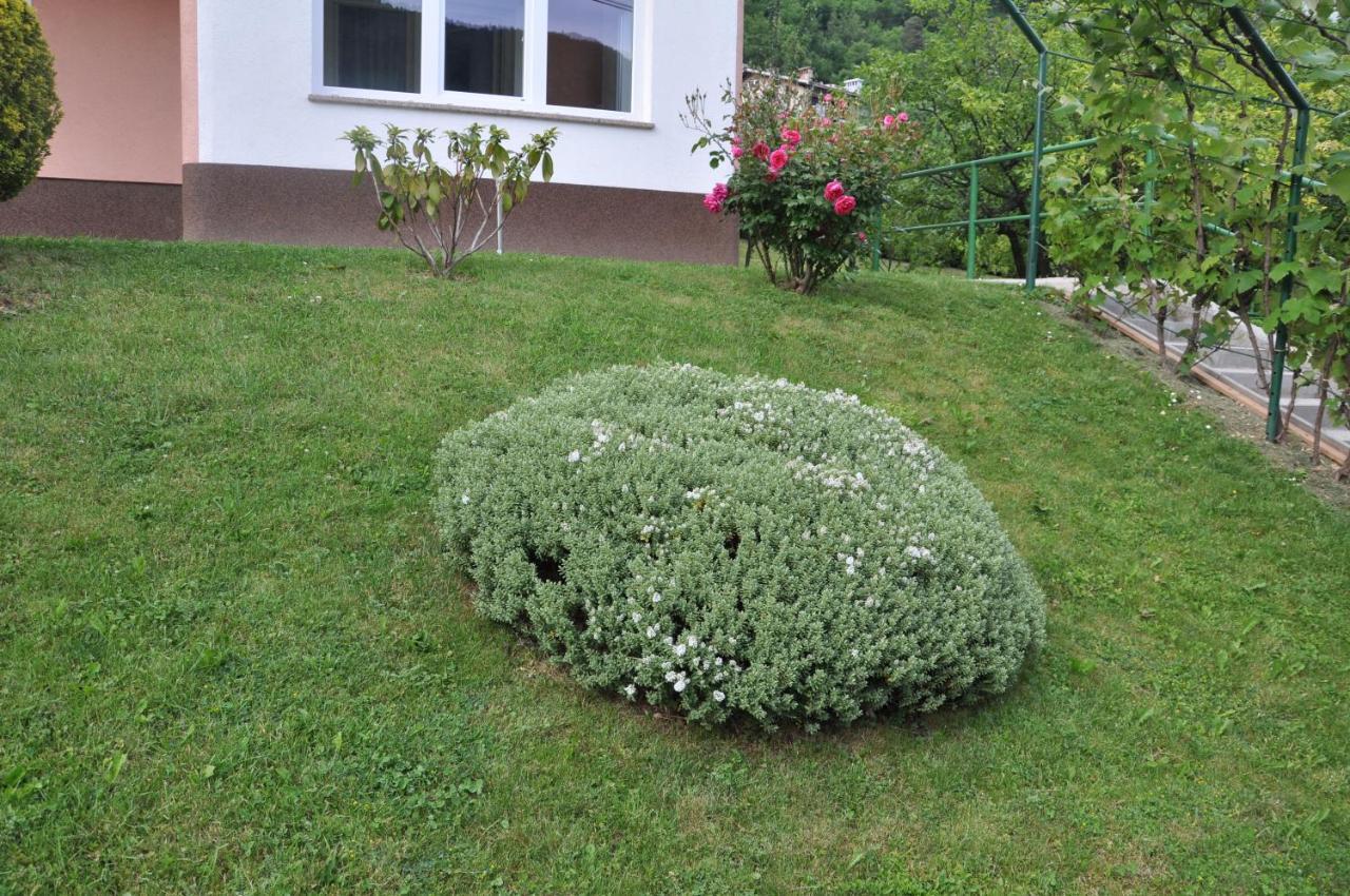 Hotel Rezidenca Ervin Jesenice Zewnętrze zdjęcie
